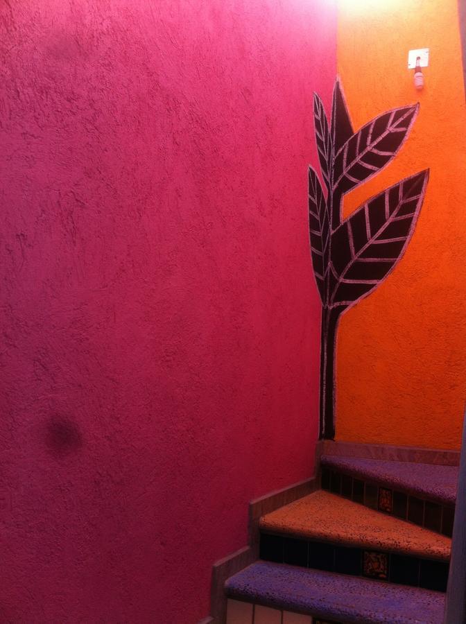 Del Color * Guanajuato